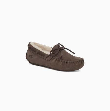 UGG Dakota - Tøfler Dame - Brune (NO-D306)